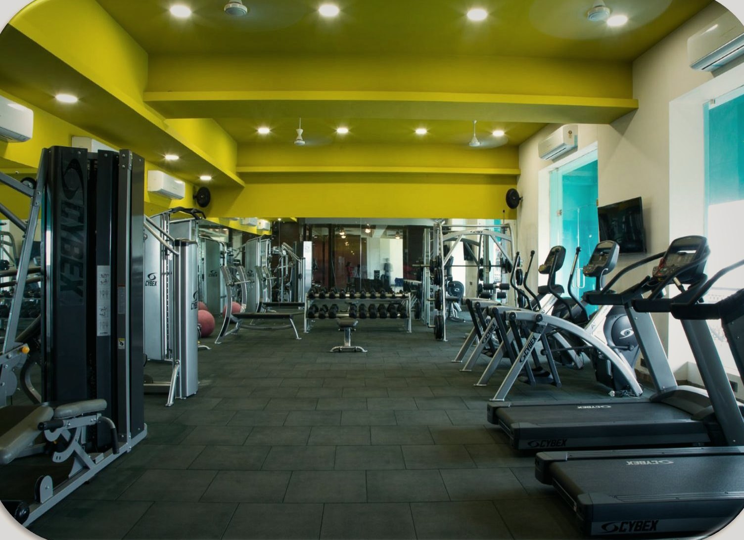 World-class gym